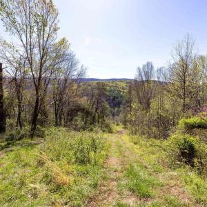 Photo #24 of JOLLETT RD, ELKTON, VA 18.0 acres