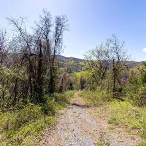 Photo #29 of JOLLETT RD, ELKTON, VA 18.0 acres