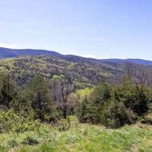 Photo #33 of JOLLETT RD, ELKTON, VA 18.0 acres