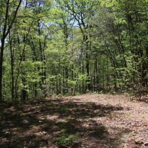 Photo #19 of N EGYPT BEND RD, LURAY, VA 40.4 acres