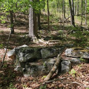 Photo #24 of N EGYPT BEND RD, LURAY, VA 40.4 acres