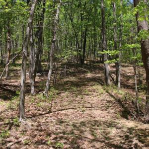 Photo #26 of N EGYPT BEND RD, LURAY, VA 40.4 acres