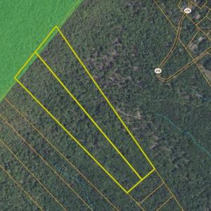 Photo #28 of N EGYPT BEND RD, LURAY, VA 40.4 acres