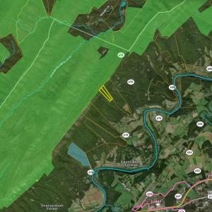 Photo #29 of N EGYPT BEND RD, LURAY, VA 40.4 acres