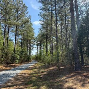 Photo #1 of  30.0 acres