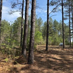 Photo #2 of  30.0 acres