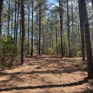 Photo #3 of  30.0 acres