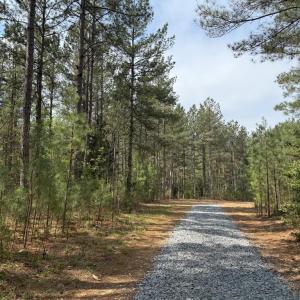 Photo #5 of  30.0 acres