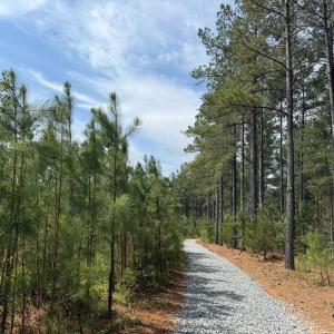 Photo #6 of  30.0 acres