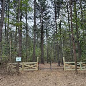 Photo #12 of  30.0 acres