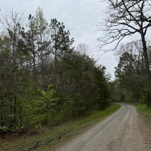 Photo #13 of  30.0 acres
