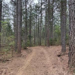 Photo #15 of  30.0 acres