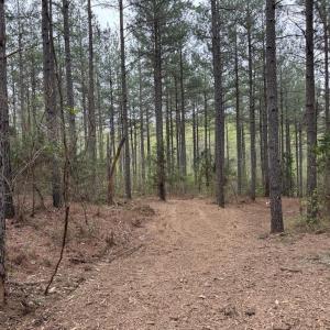 Photo #17 of  30.0 acres