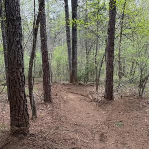 Photo #18 of  30.0 acres