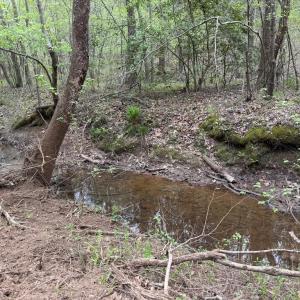 Photo #19 of  30.0 acres