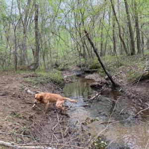 Photo #20 of  30.0 acres