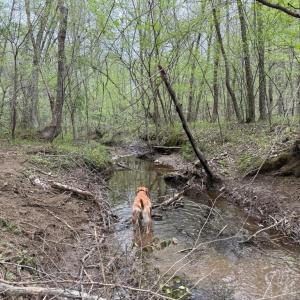 Photo #21 of  30.0 acres