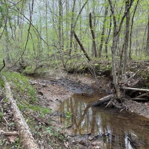 Photo #23 of  30.0 acres