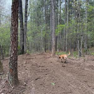 Photo #26 of  30.0 acres