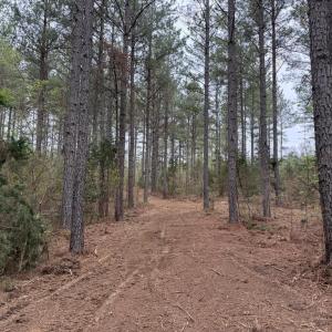 Photo #28 of  30.0 acres