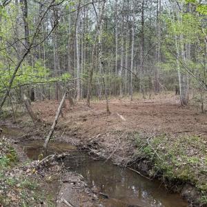 Photo #29 of  30.0 acres