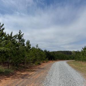 Photo #31 of  30.0 acres