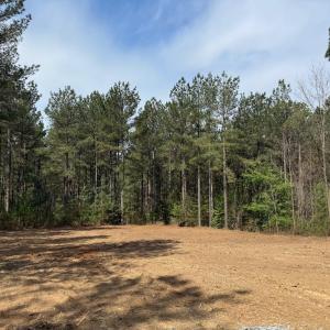 Photo #33 of  30.0 acres