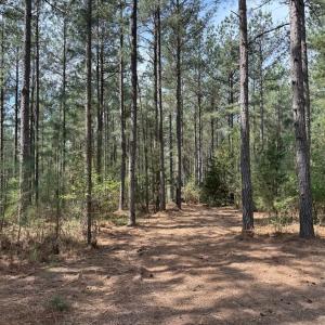 Photo #34 of  30.0 acres