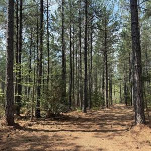 Photo #36 of  30.0 acres
