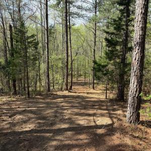 Photo #39 of  30.0 acres
