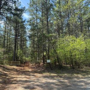 Photo #1 of  36.2 acres