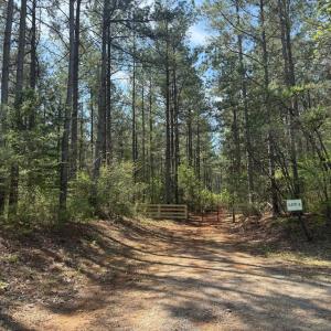 Photo #3 of  36.2 acres