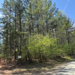 Photo #4 of  36.2 acres