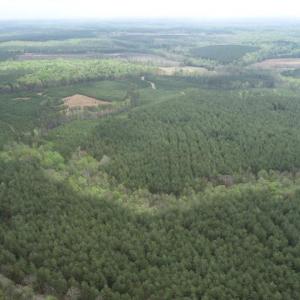 Photo #7 of  36.2 acres