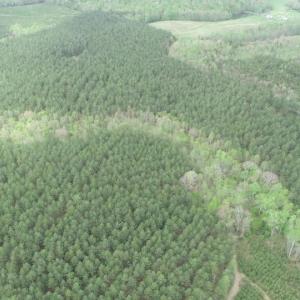 Photo #8 of  36.2 acres