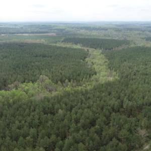 Photo #9 of  36.2 acres