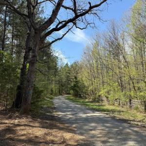 Photo #10 of  36.2 acres