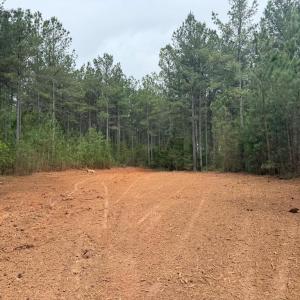 Photo #16 of  36.2 acres