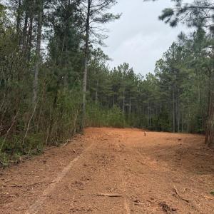 Photo #17 of  36.2 acres