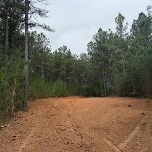 Photo #18 of  36.2 acres