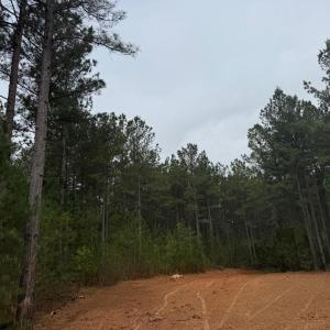 Photo #19 of  36.2 acres