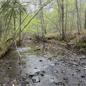 Photo #20 of  36.2 acres