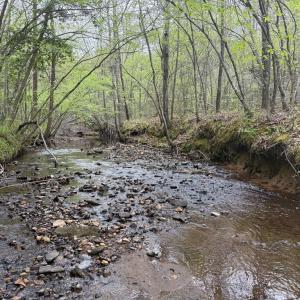 Photo #22 of  36.2 acres