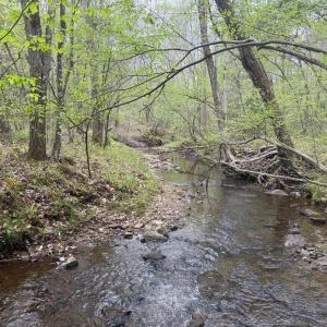 Photo #23 of  36.2 acres