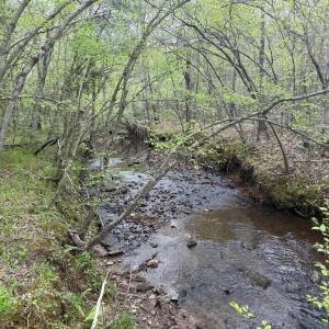 Photo #25 of  36.2 acres