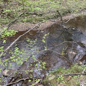 Photo #26 of  36.2 acres