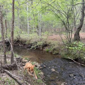 Photo #30 of  36.2 acres