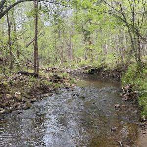 Photo #31 of  36.2 acres