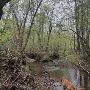 Photo #33 of  36.2 acres