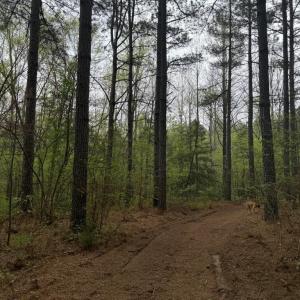 Photo #34 of  36.2 acres